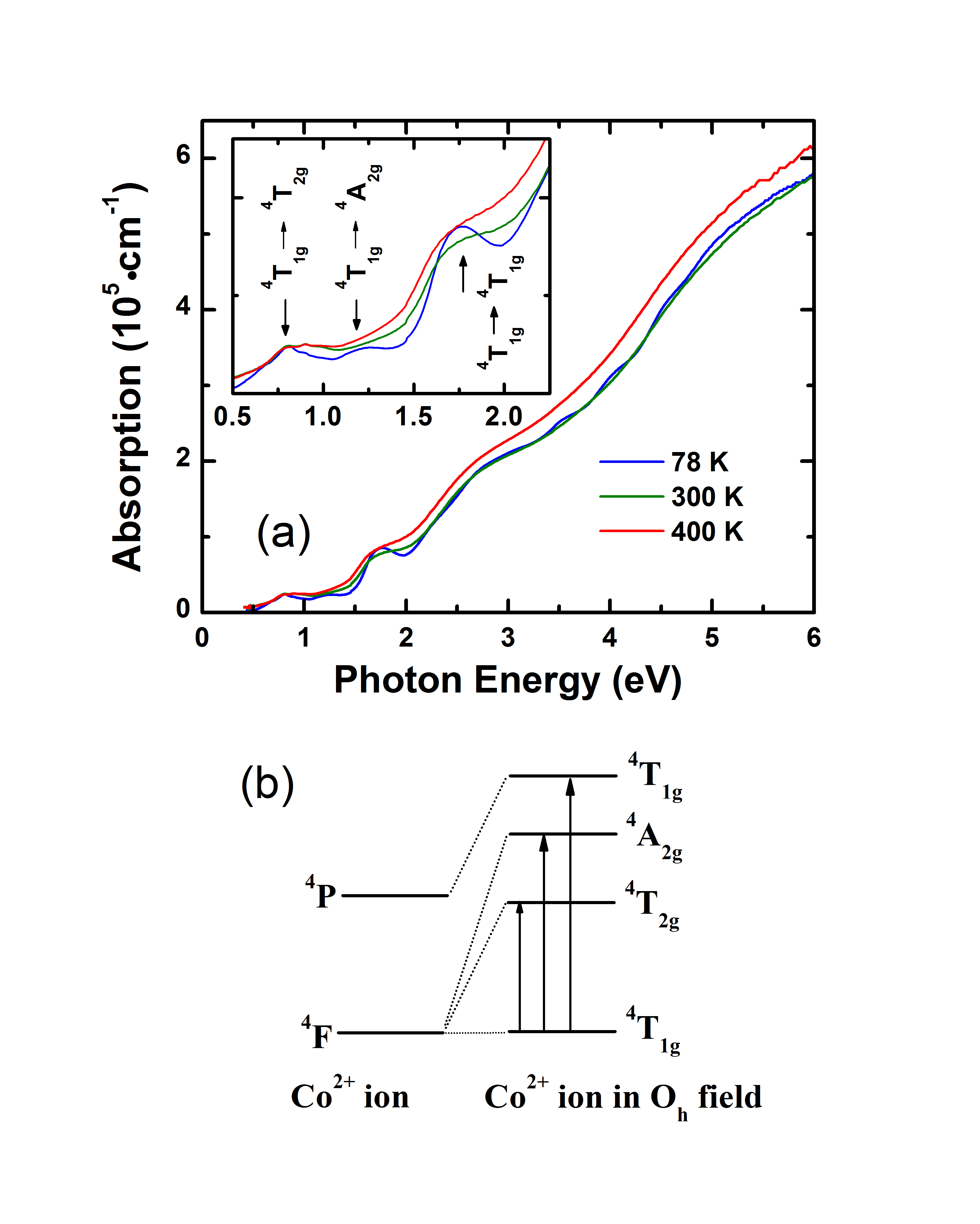 CFO Thin Film Absorption Spectra